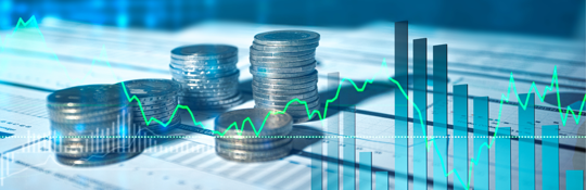 Understanding the E-2 Visa Minimum Investment
